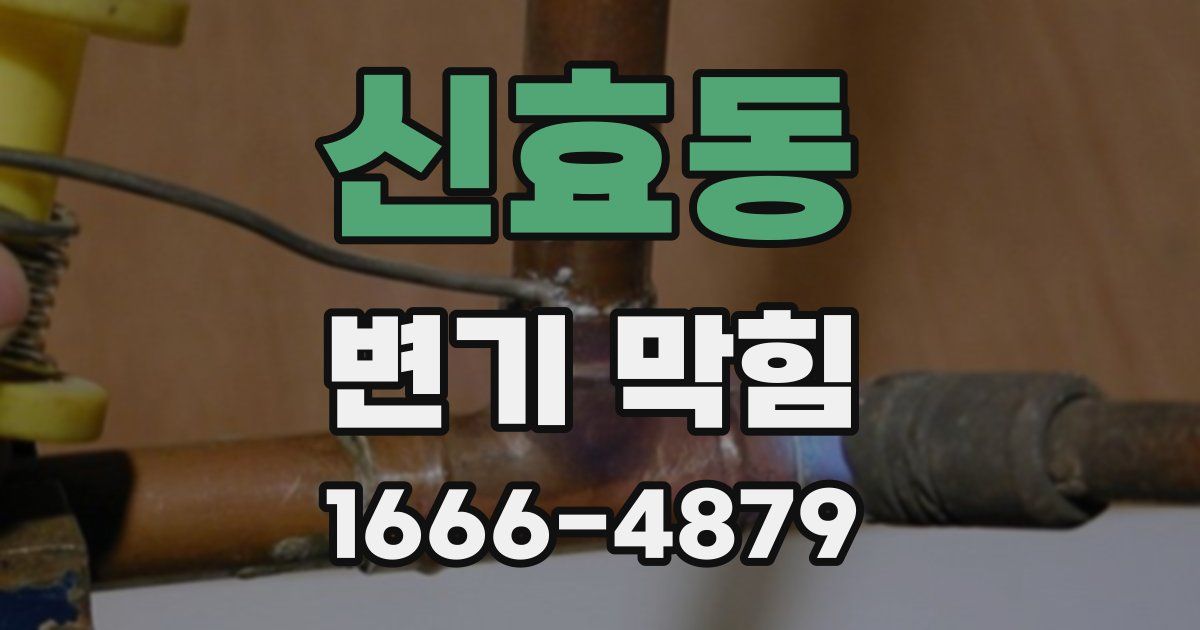 신효동 변기 막힘