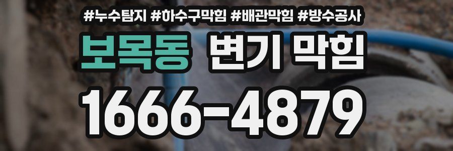 보목동 변기 막힘