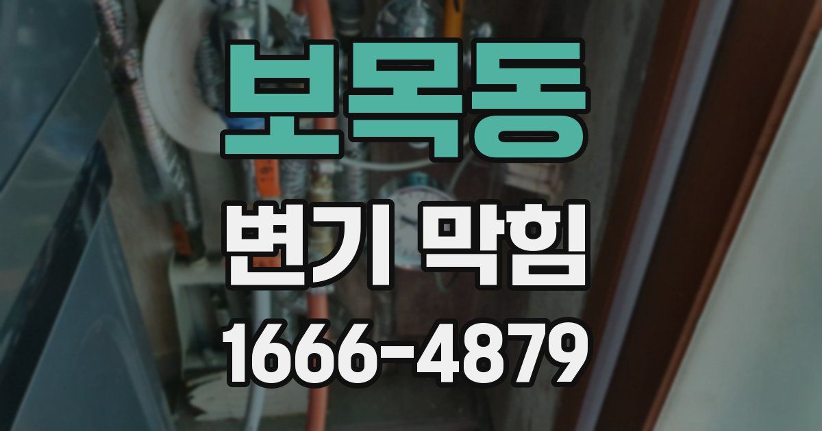 보목동 변기 막힘