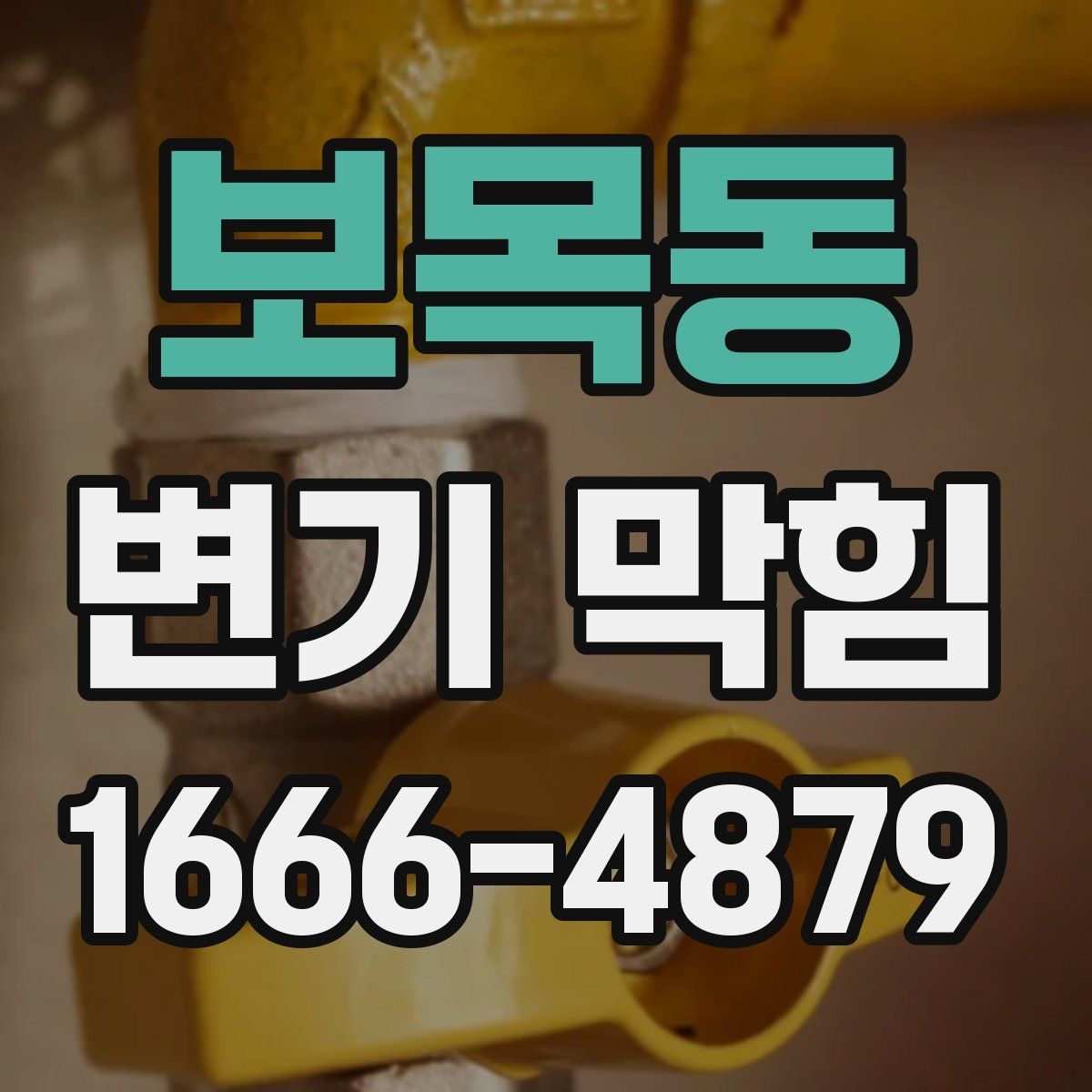 보목동 변기 막힘