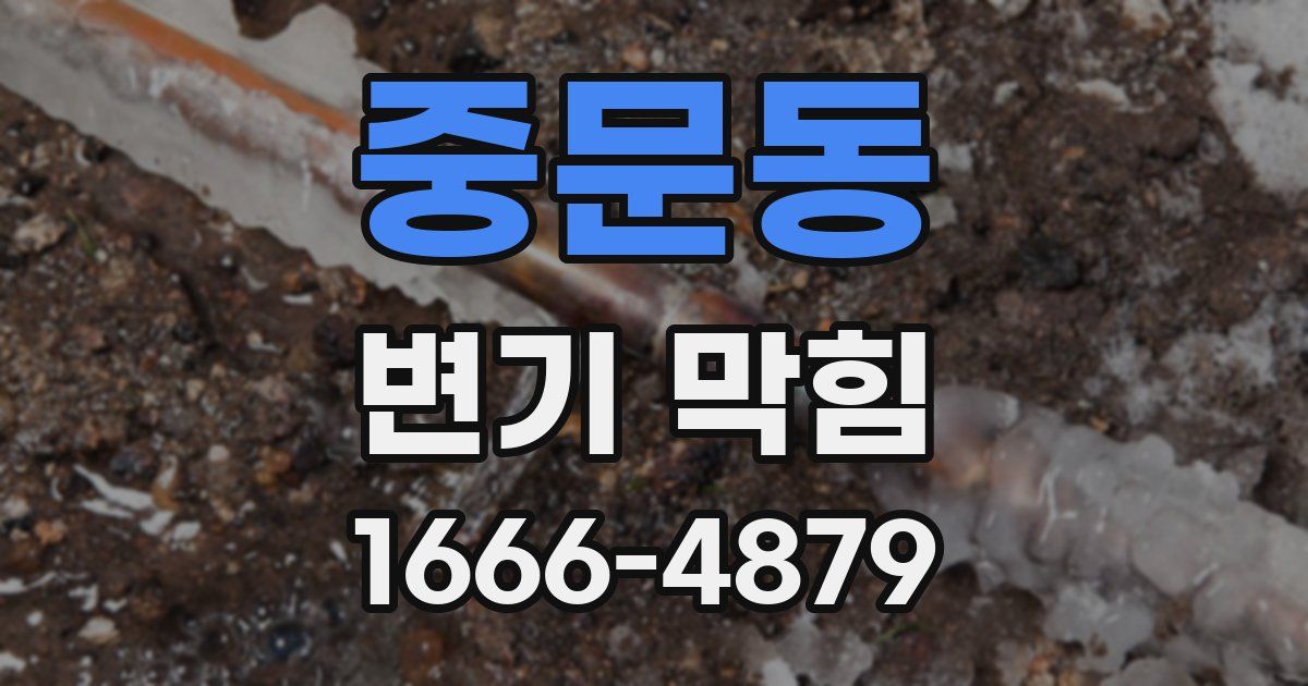 중문동 변기 막힘