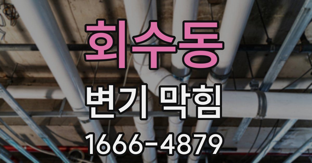 회수동 변기 막힘