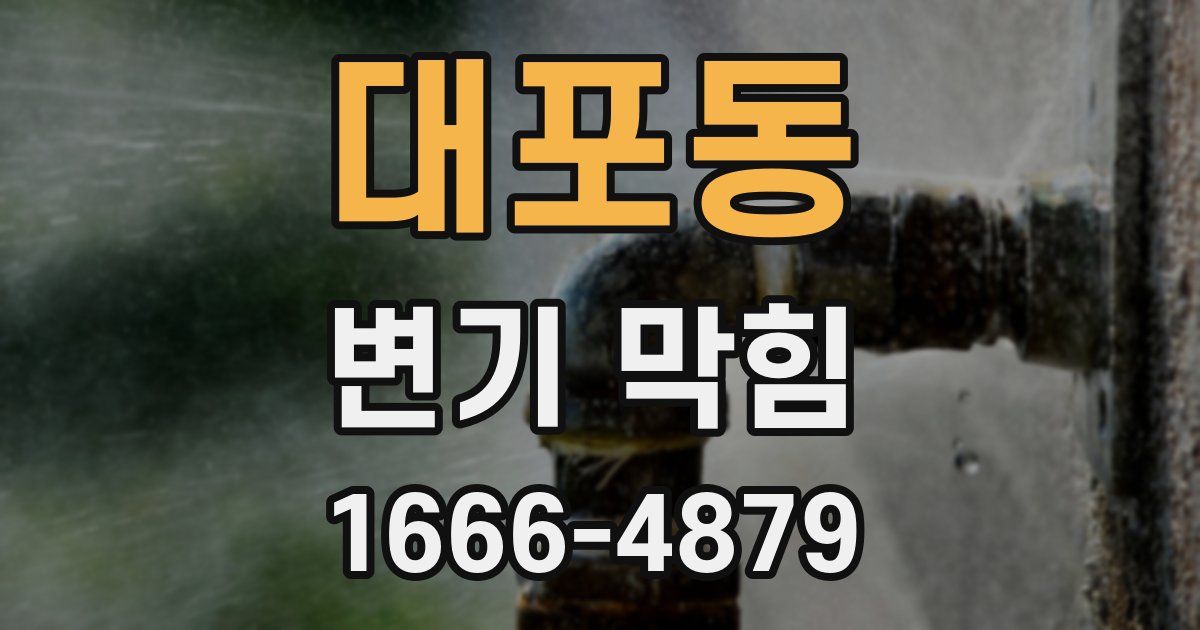 대포동 변기 막힘