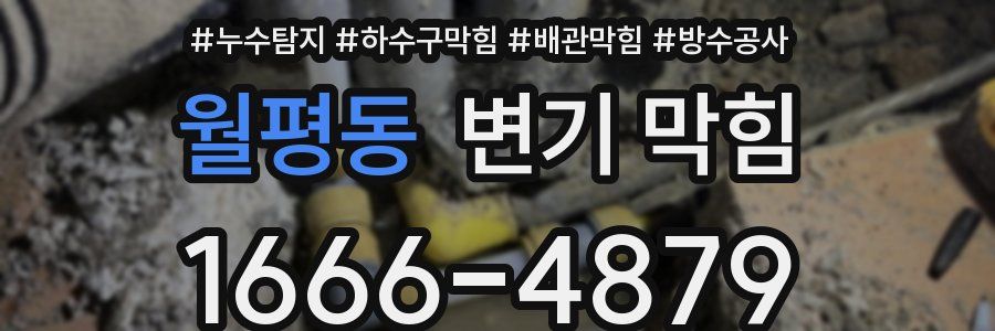 월평동 변기 막힘