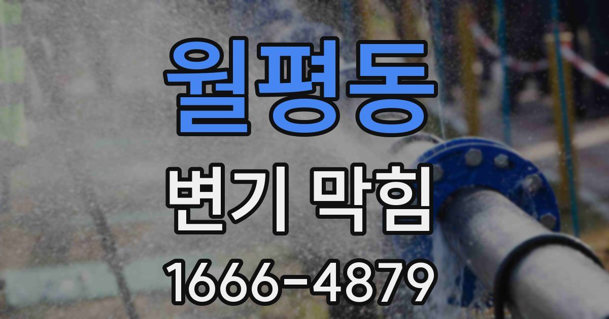 월평동 변기 막힘