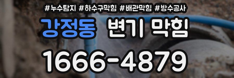 강정동 변기 막힘