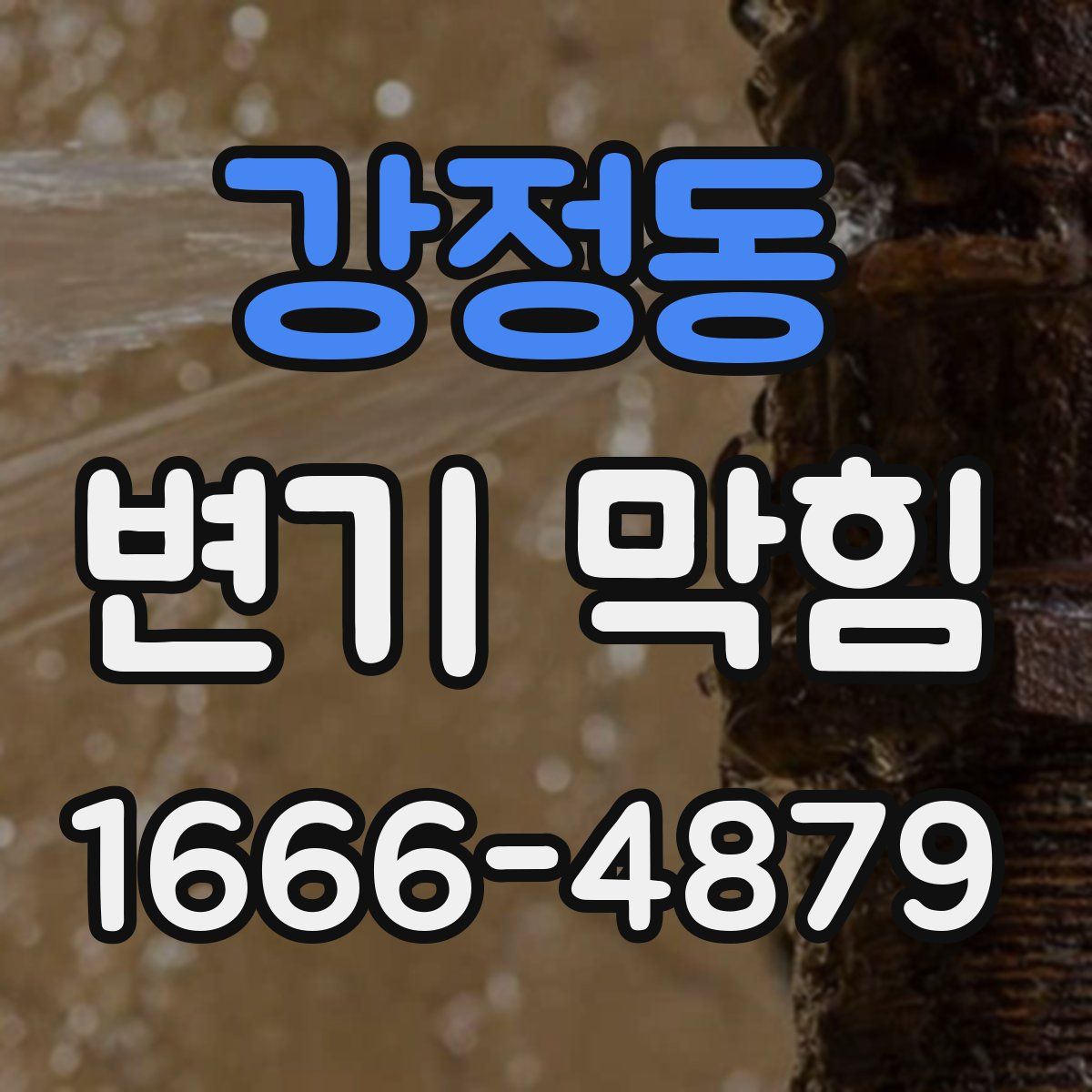 강정동 변기 막힘