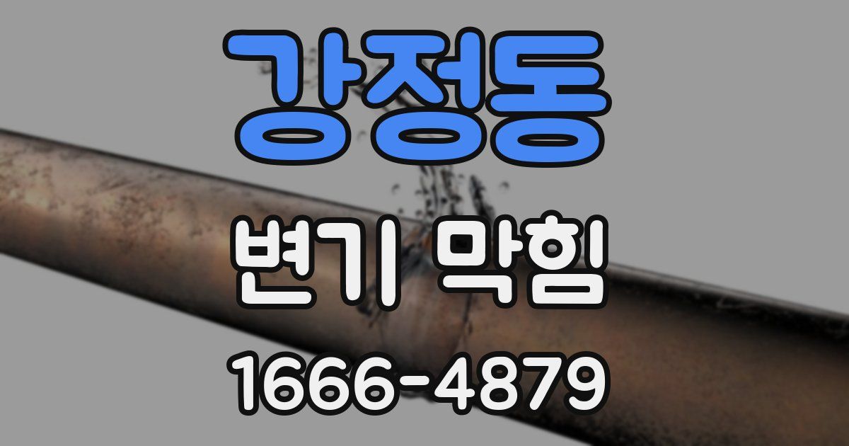 강정동 변기 막힘