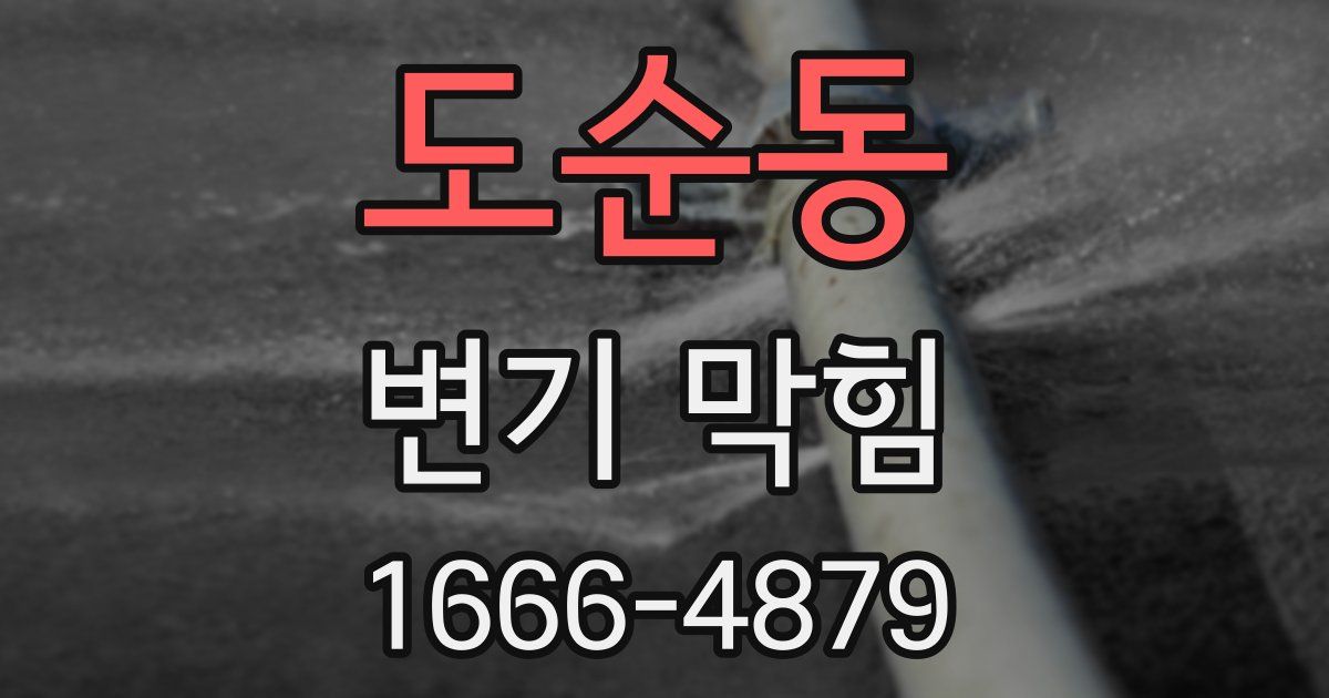 도순동 변기 막힘