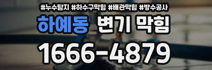 하예동 변기 막힘