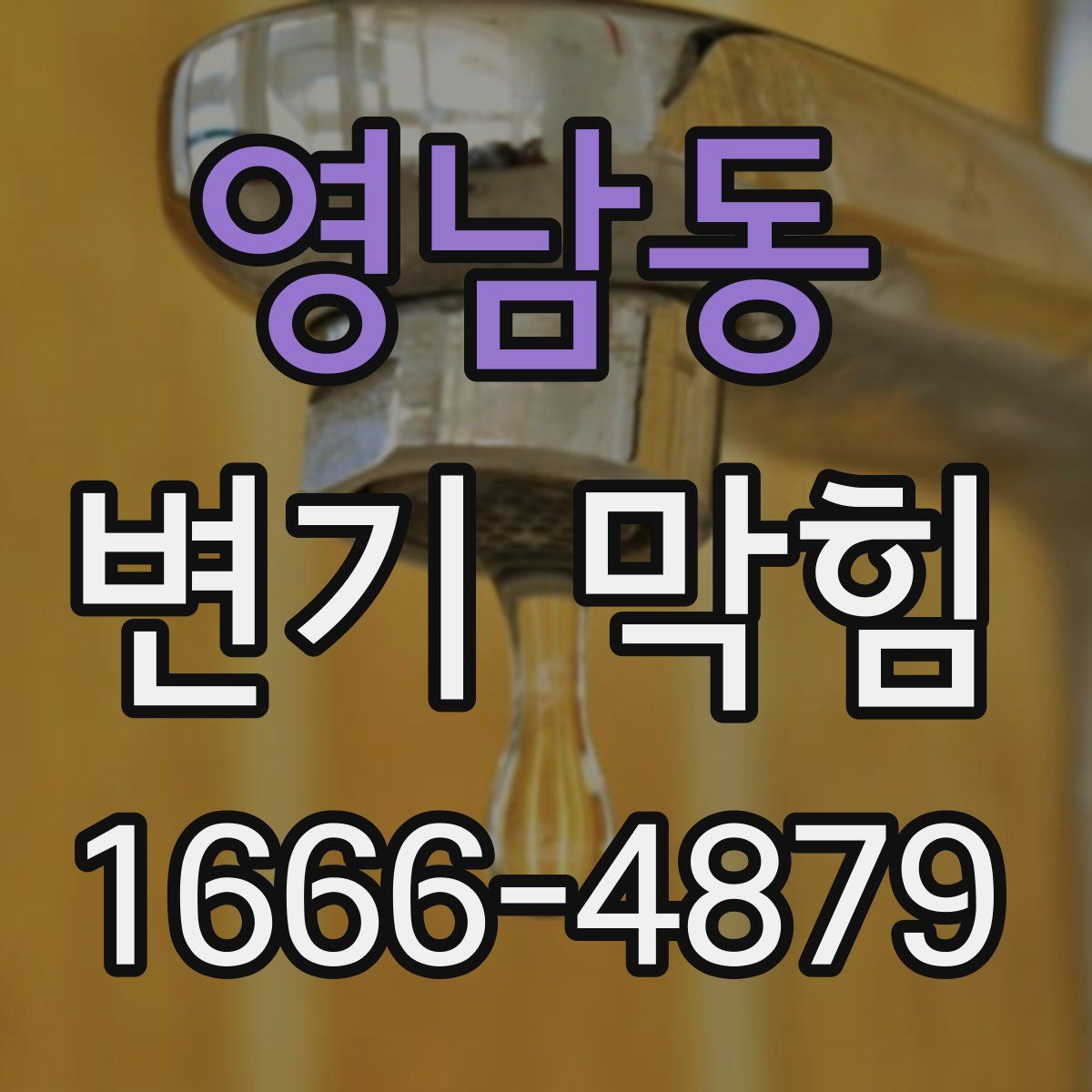 영남동 변기 막힘