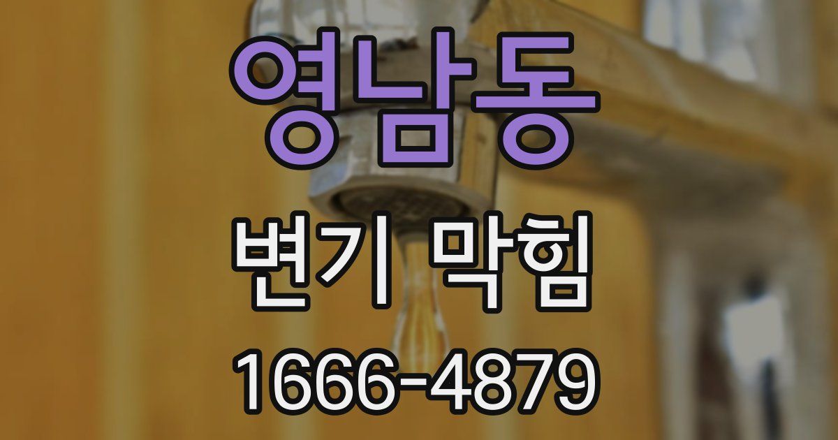 영남동 변기 막힘