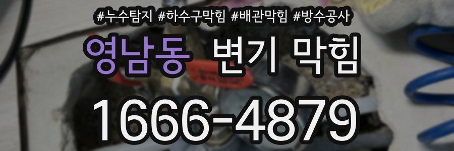 영남동 변기 막힘