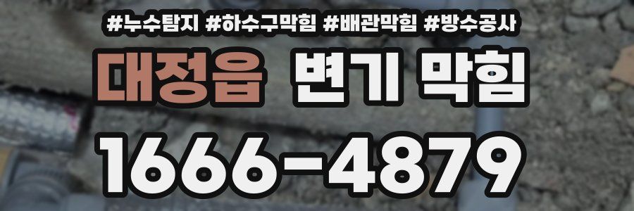 대정읍 변기 막힘
