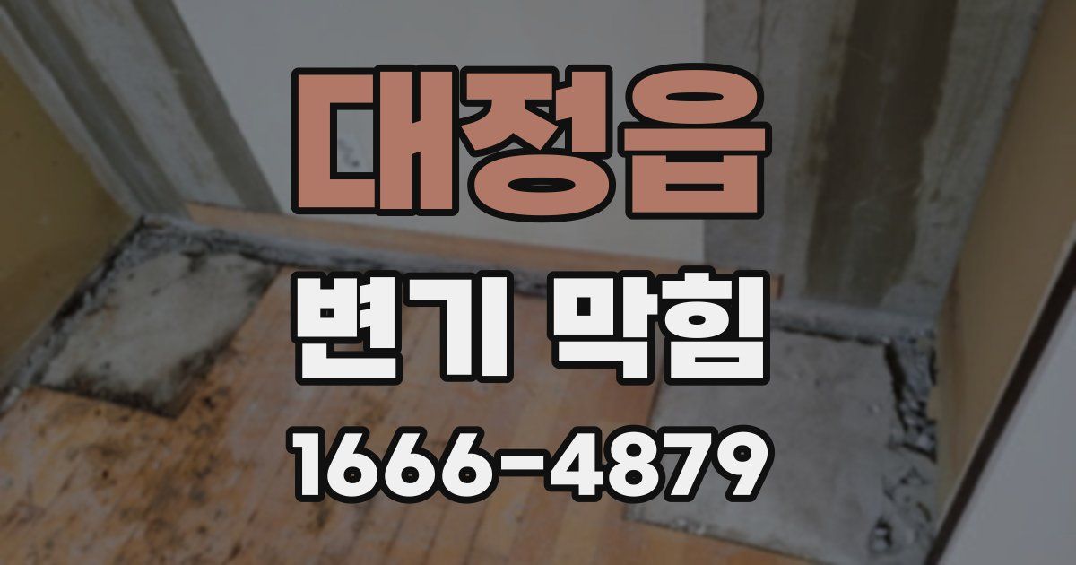 대정읍 변기 막힘