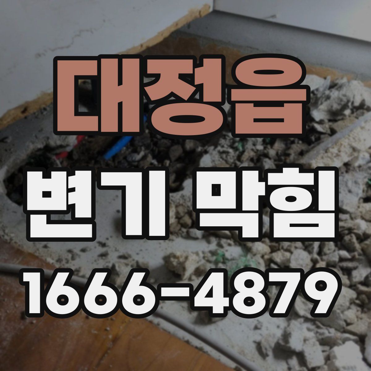 대정읍 변기 막힘