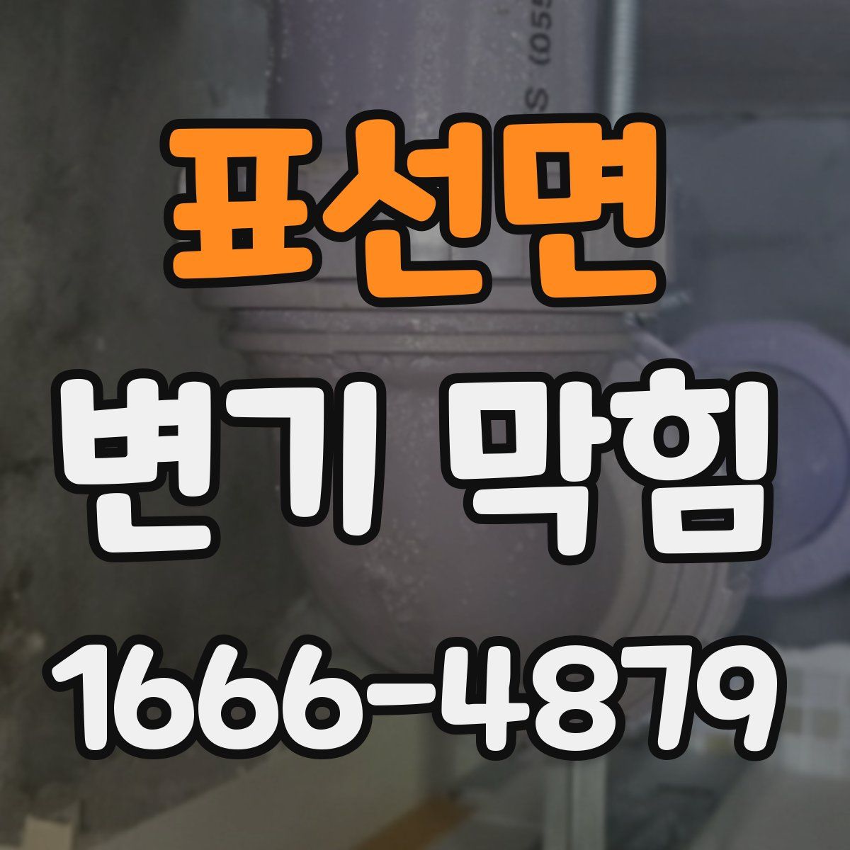 표선면 변기 막힘