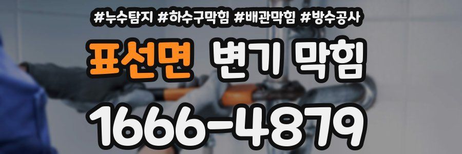 표선면 변기 막힘