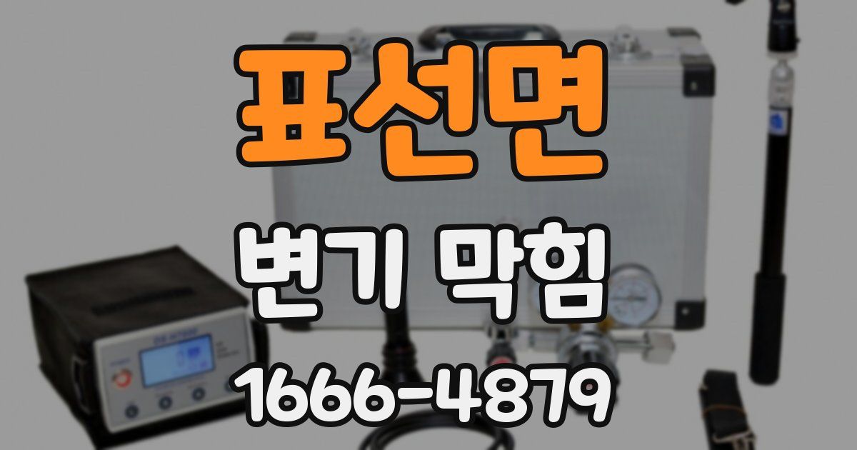 표선면 변기 막힘