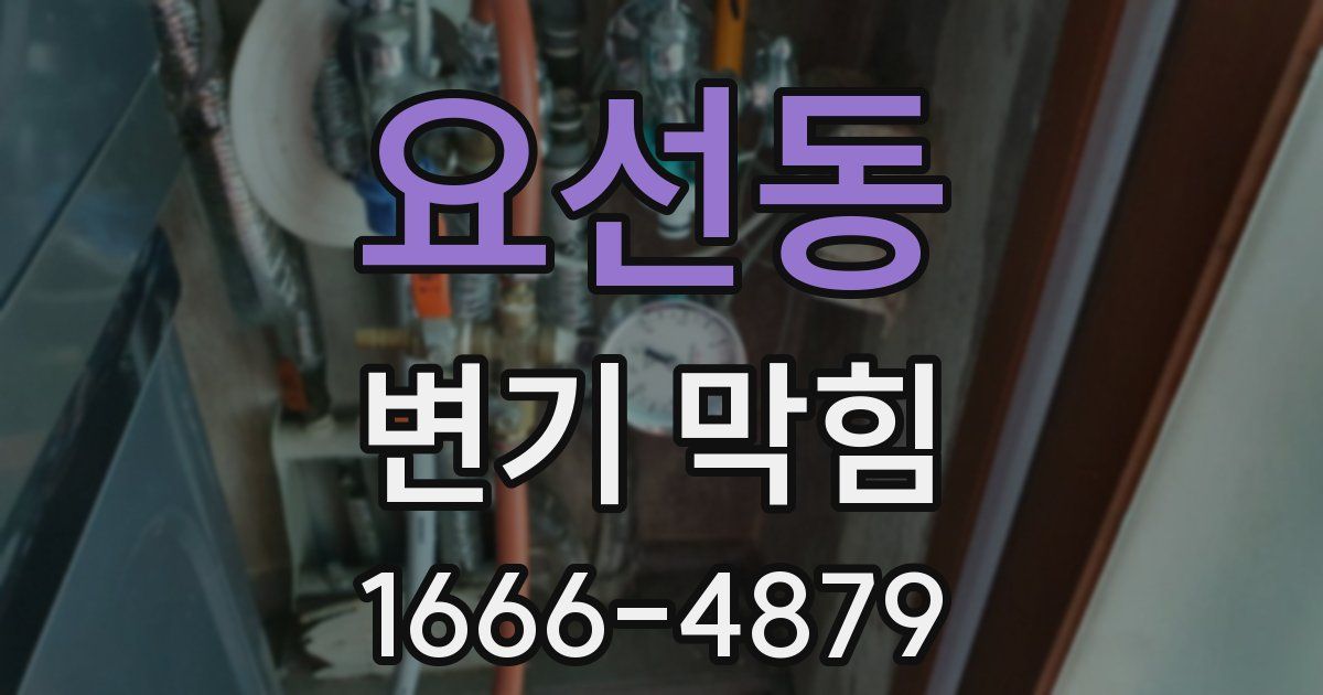 요선동 변기 막힘