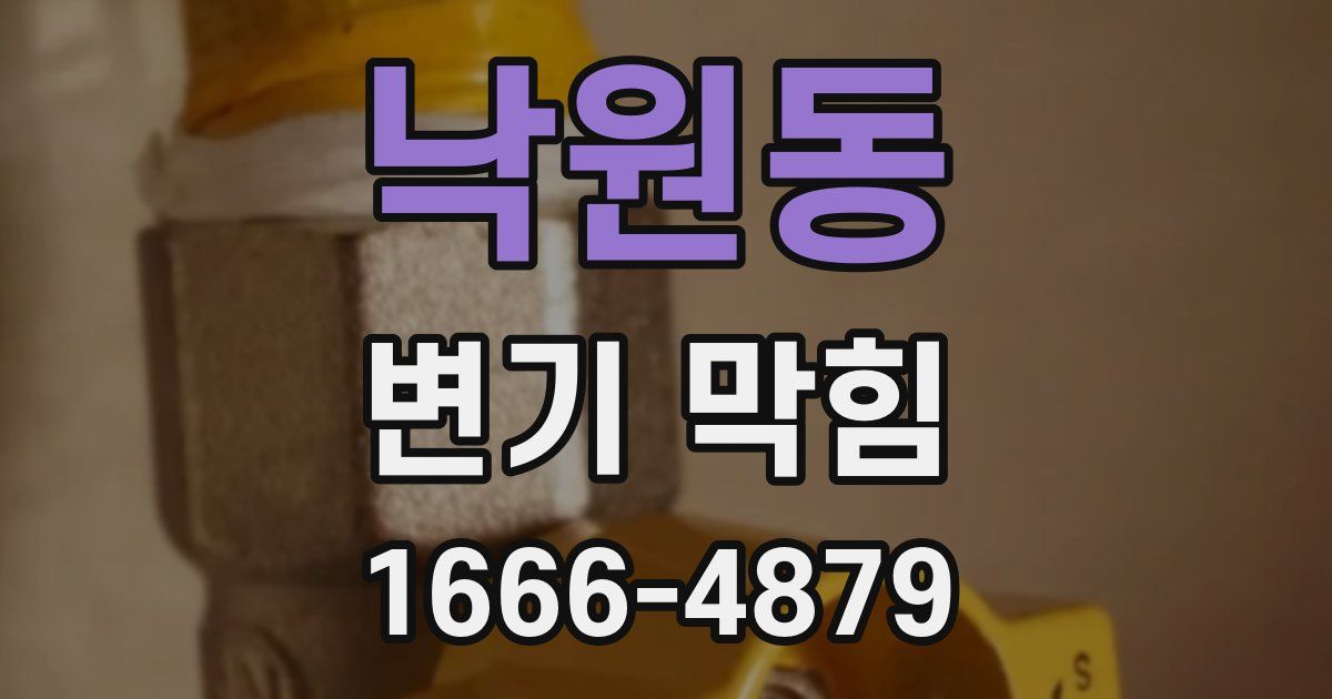 낙원동 변기 막힘