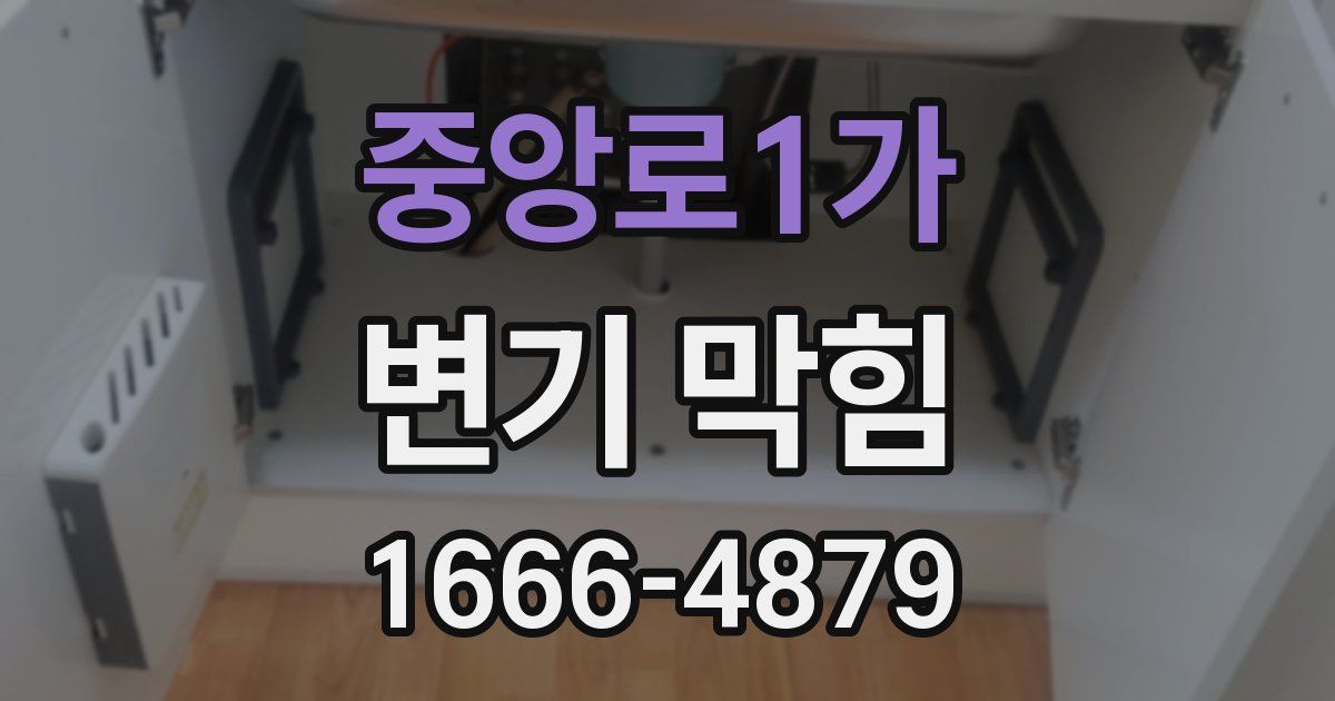 중앙로1가 변기 막힘