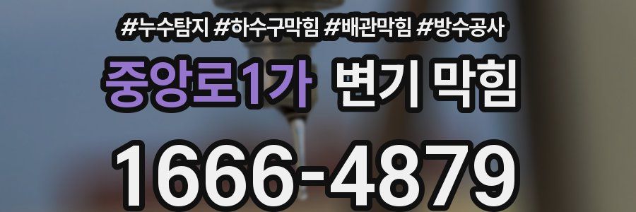 중앙로1가 변기 막힘