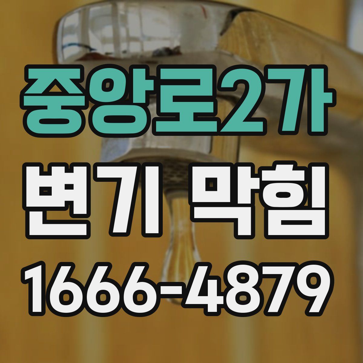 중앙로2가 변기 막힘
