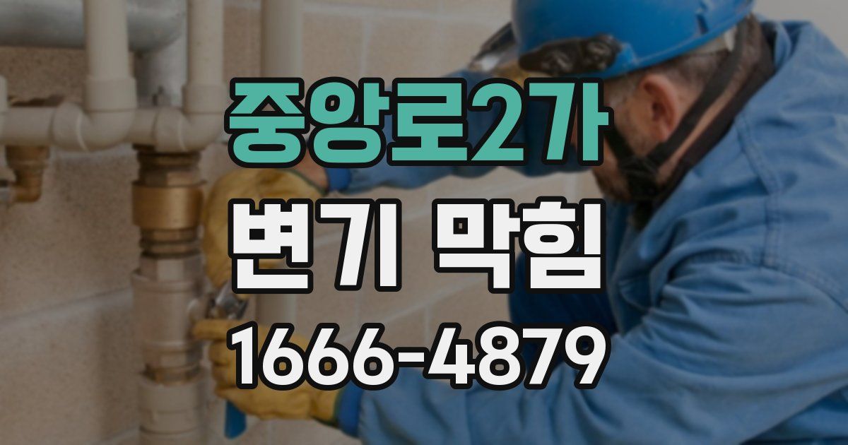 중앙로2가 변기 막힘