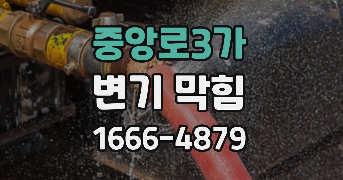 중앙로3가 변기 막힘