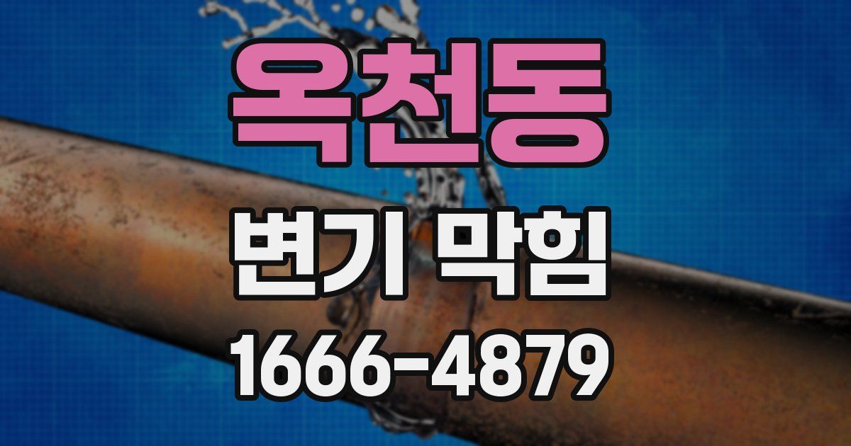 옥천동 변기 막힘