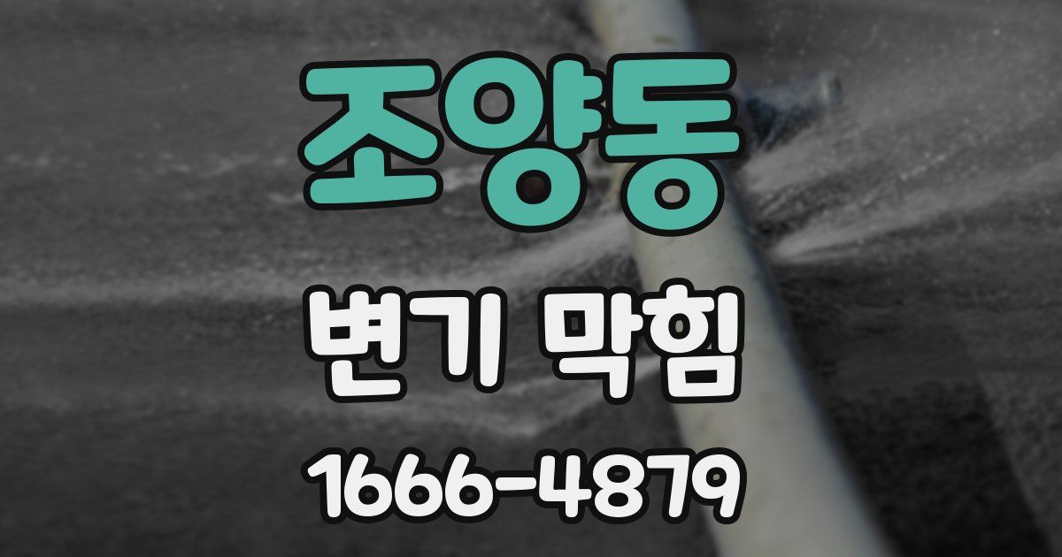 조양동 변기 막힘