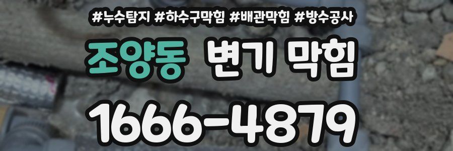 조양동 변기 막힘