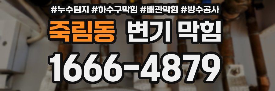 죽림동 변기 막힘
