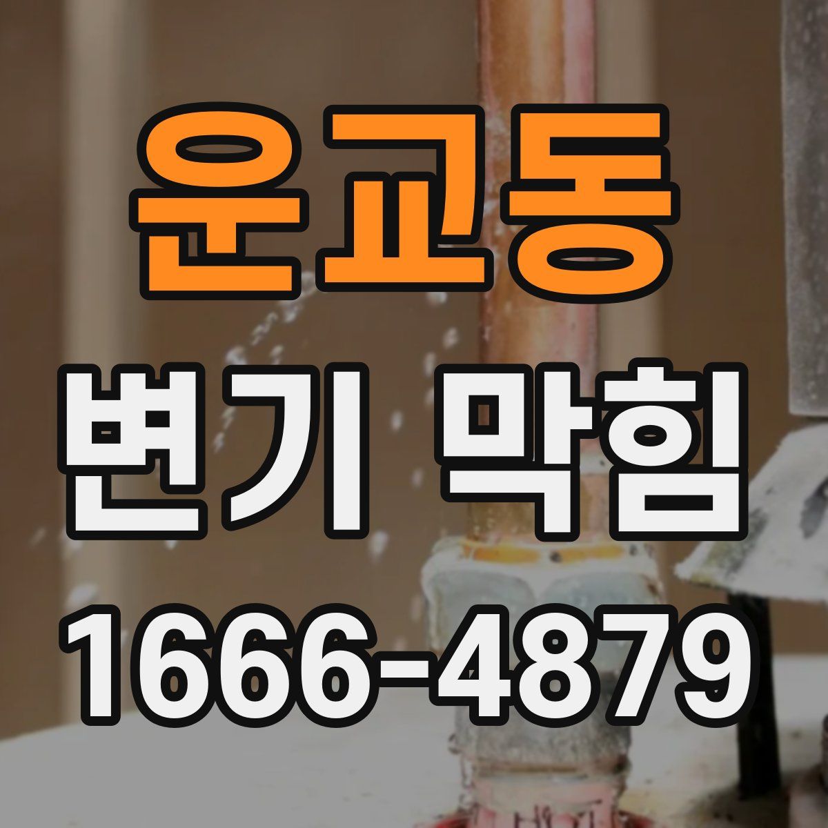 운교동 변기 막힘