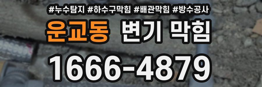 운교동 변기 막힘