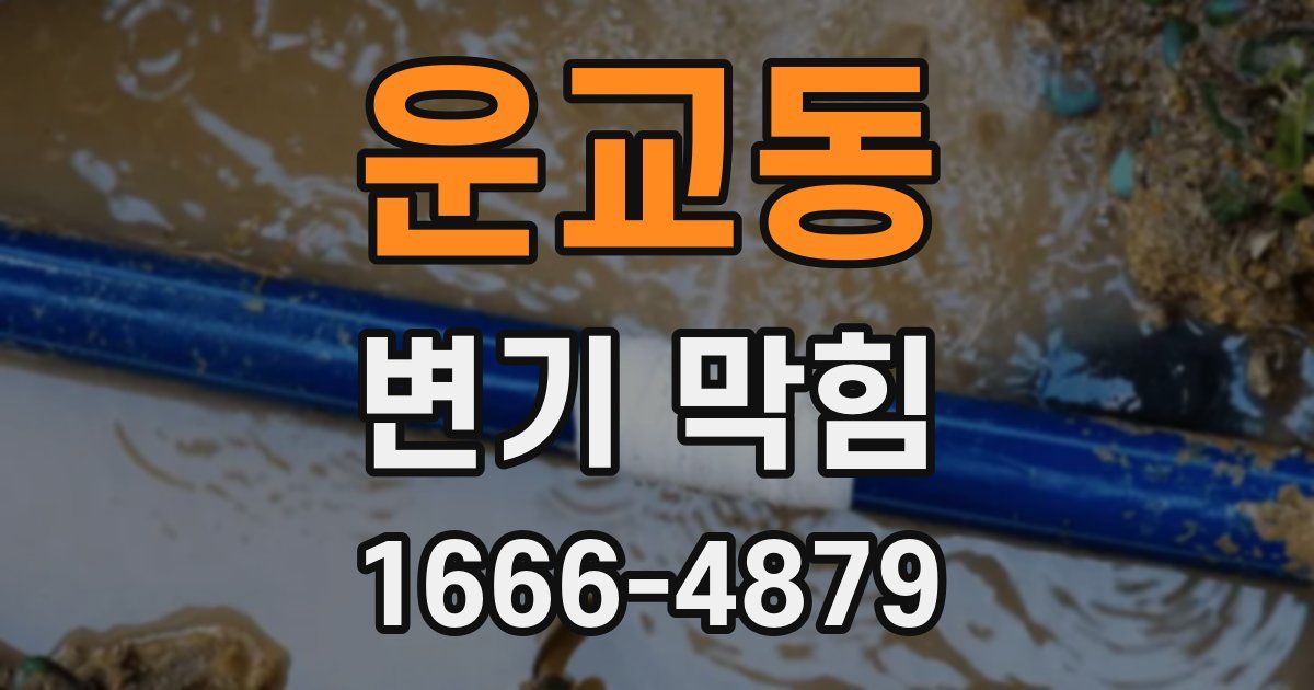 운교동 변기 막힘