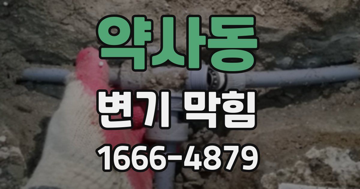 약사동 변기 막힘