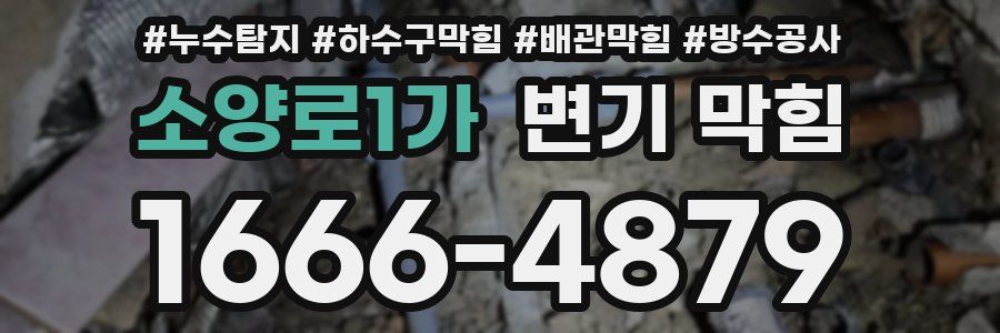 소양로1가 변기 막힘