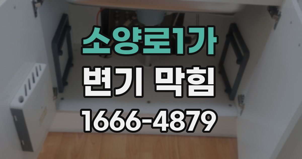 소양로1가 변기 막힘
