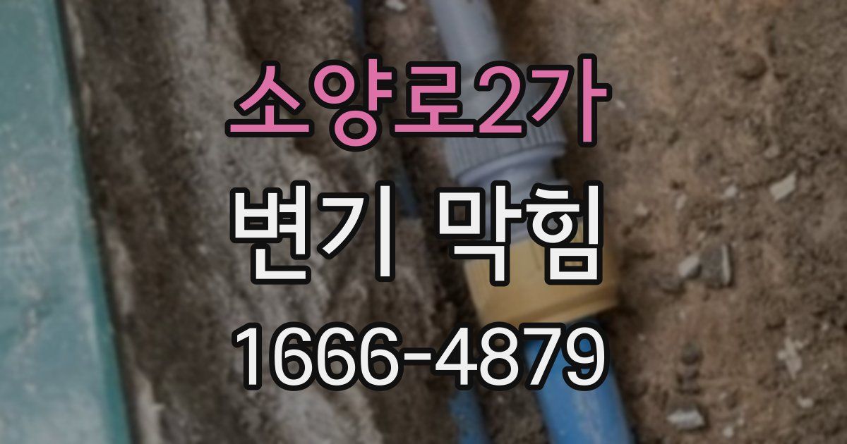 소양로2가 변기 막힘