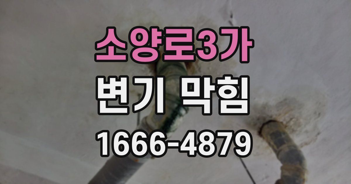 소양로3가 변기 막힘