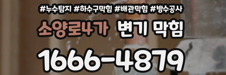 소양로4가 변기 막힘