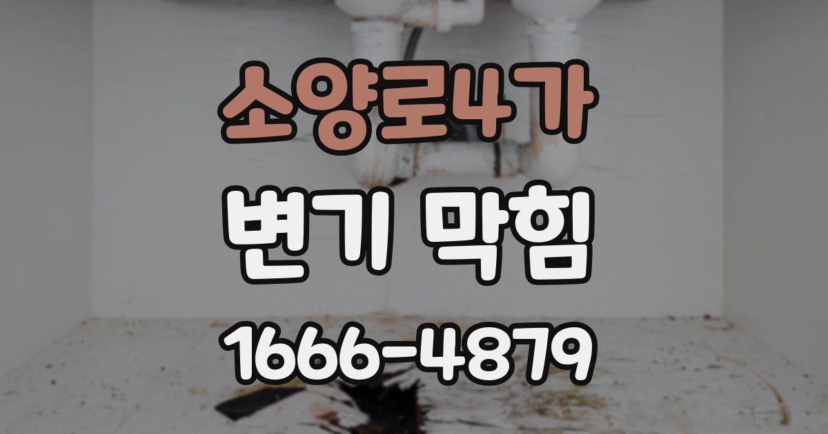 소양로4가 변기 막힘