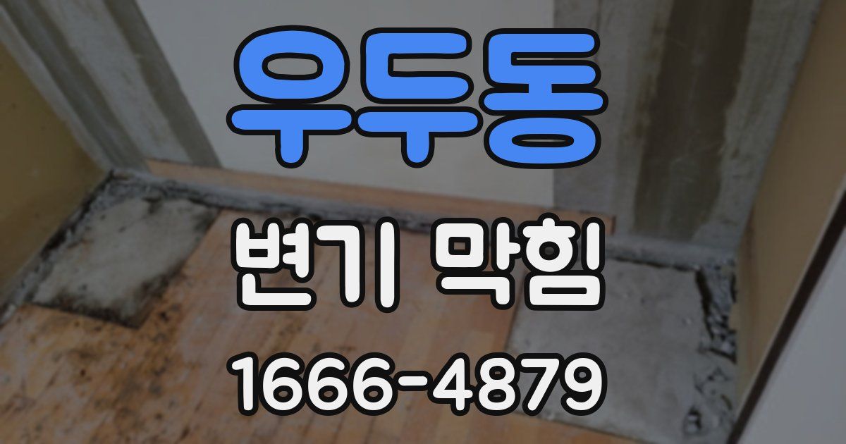 우두동 변기 막힘