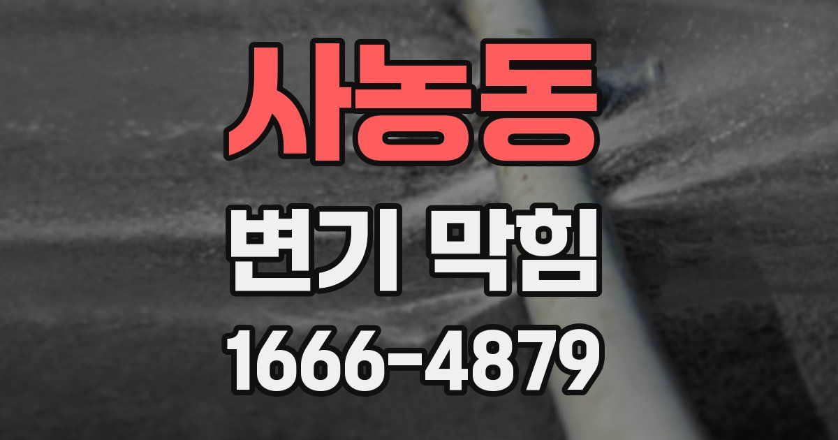 사농동 변기 막힘