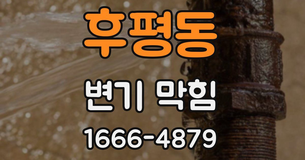 후평동 변기 막힘