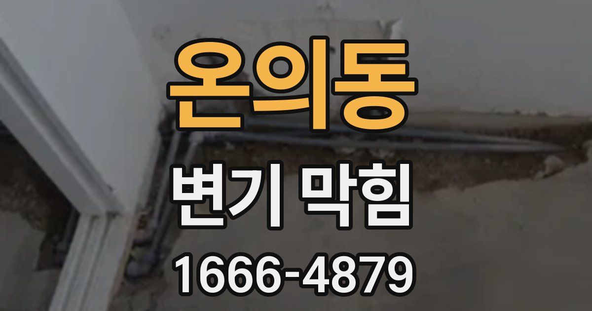 온의동 변기 막힘