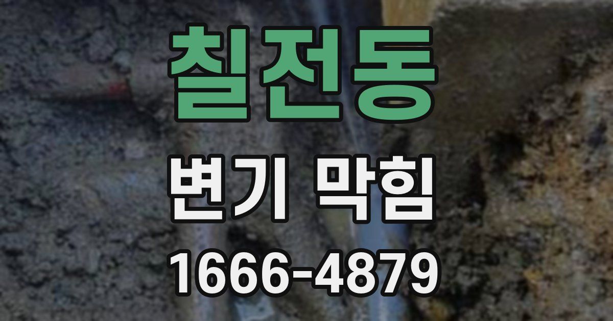 칠전동 변기 막힘