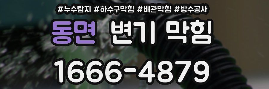 동면 변기 막힘
